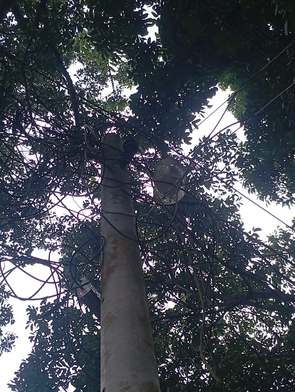 আগের অবস্থা