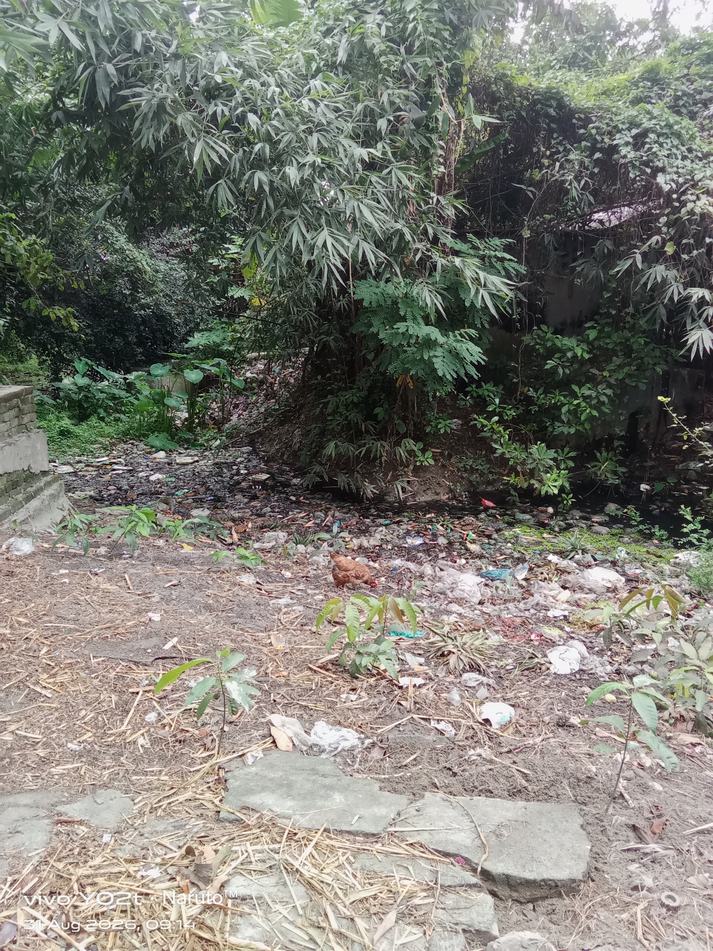 আগের অবস্থা