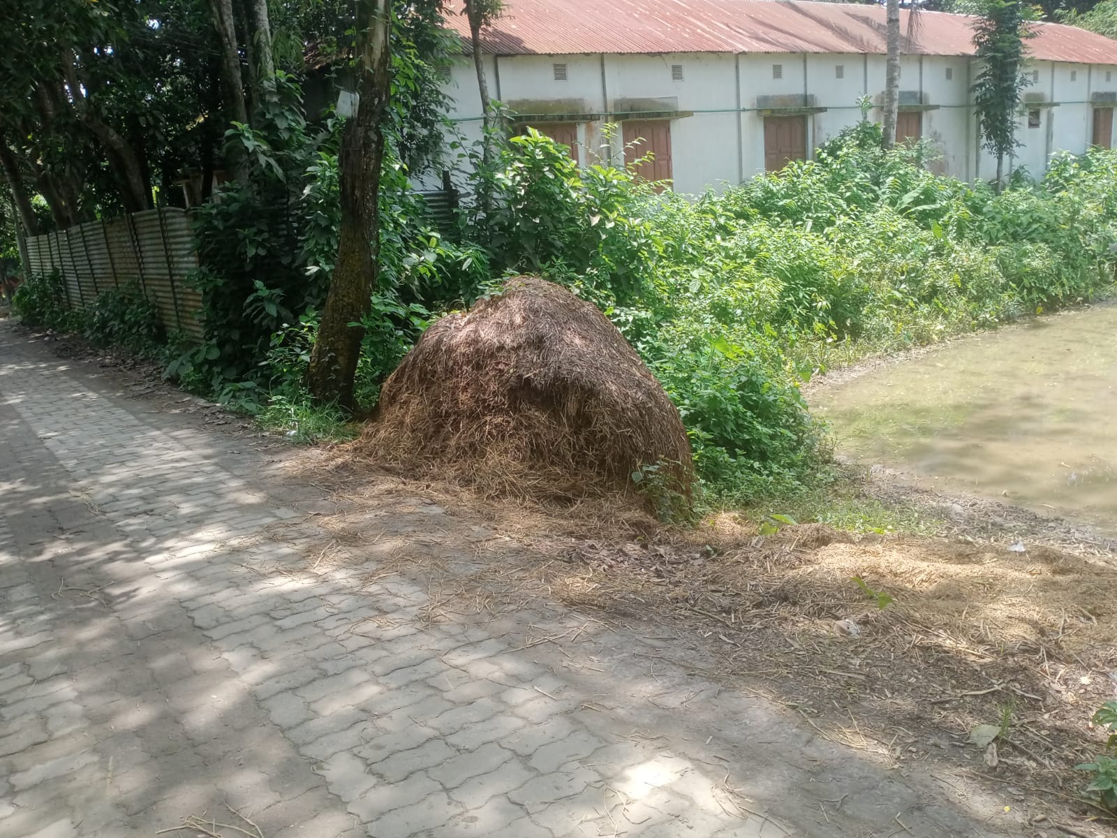 আগের অবস্থা